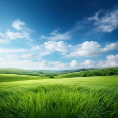 Fototapeta premium bucolic field scene grass landscape illustration sky beautiful summer day green outdoor bucolic field scene grass landscape