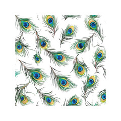 Obraz premium Peacock Feather Pattern on White Background