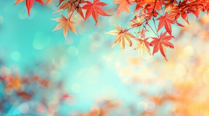 Autumn Leaves with Bokeh Background