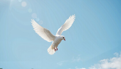 Fototapeta premium White dove flying joyfully against a clear blue sky with a copy space 