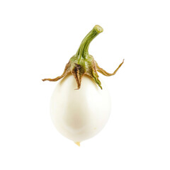 Obraz premium White Eggplant Isolated on White Background