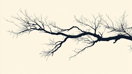 Fototapeta premium A silhouette of a tree branch, drawn in soft lines with no other details