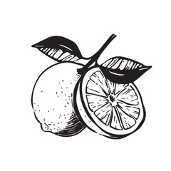 Oranges In cartoon, hand-drawn flat style. image for social media, websites and UI. Isolated 2D vector design in logo, icon, sketch style, simple line vector, single color. AI Generative Art.