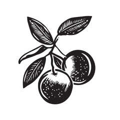 Oranges In cartoon, hand-drawn flat style. image for social media, websites and UI. Isolated 2D vector design in logo, icon, sketch style, simple line vector, single color. AI Generative Art.