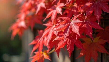  Autumns vibrant beauty in full bloom