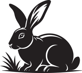 Black and white rabbit
