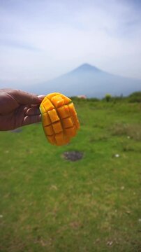 vertical video footage of peeling a unique square mango fruit with a mountain background