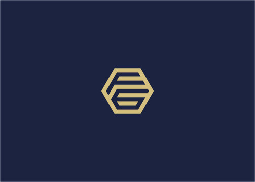 letter f6 hexagon logo icon design Vector design template inspiration