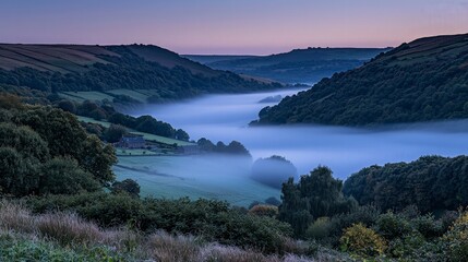 Obraz premium A valley shrouded in morning mist with rolling hills and trees.