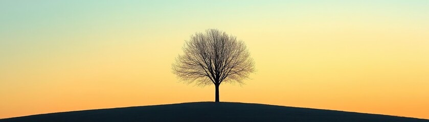 Obraz premium A tree silhouetted against the sunset, with only the simplest lines visible