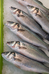 Fishmonger's store at the food market in Spain. European sea bass (Dicentrarchus labrax)
