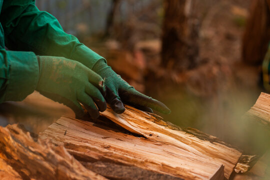 Gloved hands stacking split firewood for winter fires