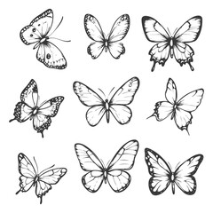 Nine Hand Drawn Butterfly Illustrations in Black and White