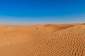 Expansive view of the Wahiba Desert in Oman with serene sand dunes under a clear blue sky during midday