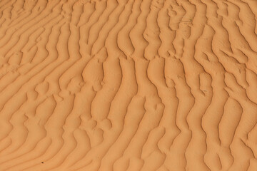 Patterns of wind sculpted sand reveal the beauty of the Wahiba Desert in Oman during daylight