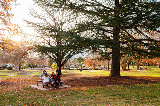 extended family at picnic table bench on late winter afternoon in parkland  - Powered by Adobe