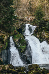 Autumn Waterfall in a seren Forest