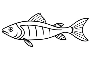 Tuna Line Art Vector Minimalist Fish Drawing and Marine Illustration for Seafood and Fishing Design