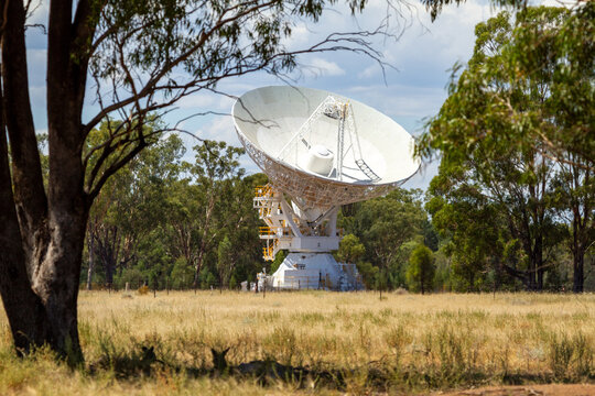 Paddock with Radio telescope, and kangaroos resting in shade of tree.