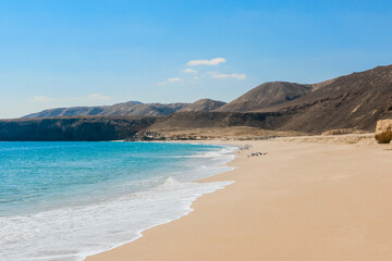 Exploring the serene turtle beach in Oman with stunning landscapes and crystal clear waters at sunset