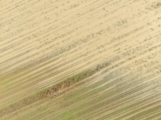 Water covering rows of crops in muddy seeded soil field after devastating flooding by heavy rainfall
