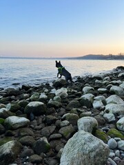 person on the beach
