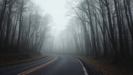 Misty road winding through dense forest with bare trees, creating mysterious and serene atmosphere. fog envelops landscape, enhancing sense of solitude and tranquility