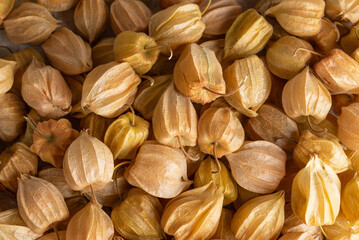 Lots of physalis berry as food background