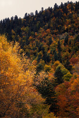 Otoño en Sauth deth pish, Vielha, Val de aran