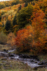 Otoño en Sauth deth pish, Vielha, Val de aran