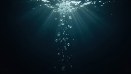 Bubbles Rising in Dark Water with Sunlight Effects