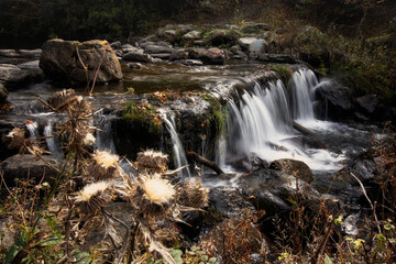 Otoño en Sauth deth pish, Vielha, Val de aran
