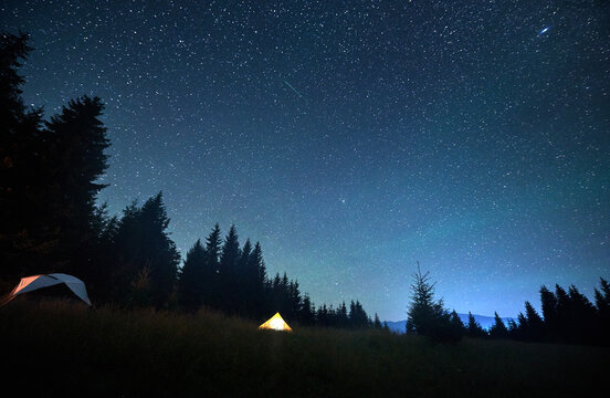 Several tents illuminated by glowing campfire in grassy clearing under clear, starry sky. Surrounded by tall pine trees in the mountains. Tranquil beauty of night spent camping in nature. - Powered by Adobe
