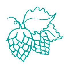 Hops linear green icon illustration