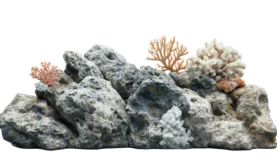 Fototapete Rund  A tropical coral reef on rocks  on transparent background © Al-Mamun