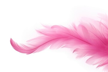 Obraz premium Pink feathers backgrounds red white background.