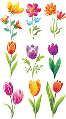Obraz premium Set of spring colorful flowers 