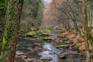 Ein Bach mit Felsen in einem herbstlichen Wald