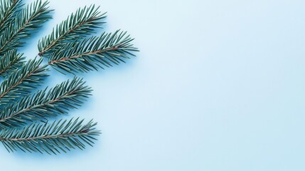 Obraz premium Closeup blueprint of a cedar tree branch, showcasing needle structure and growth pattern, botanical illustration, precision