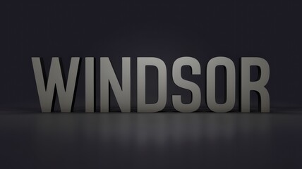 Modern Typography: The word 'Windsor' displayed in bold, three-dimensional letters against a dark background, ideal for branding use.