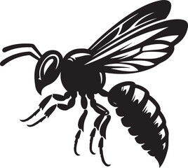 wasp vector illustration