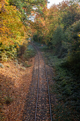 Obraz premium Train tracks covered in colorful leaves on a beautiful autumn day