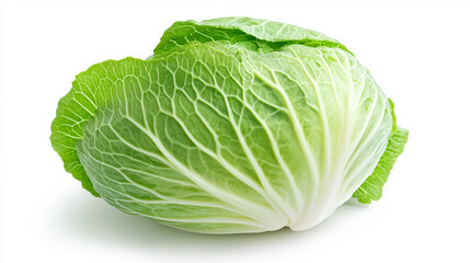 Fototapeta premium cabbage isolated on white background, clipping path, full depth of field