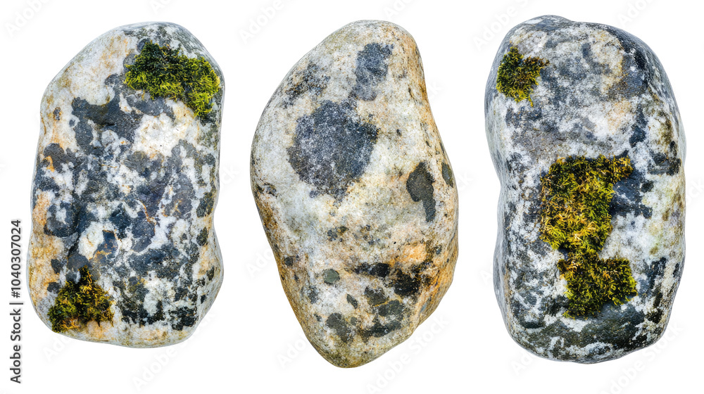 Poster beautiful natural rocks with moss on a transparent background generative ai