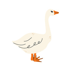 Set of geese in various poses. Cartoon vector illustration isolated on background. Farm animal design  adorable birds in different poses, funny characters