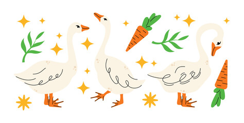 Set of geese in various poses. Cartoon vector illustration isolated on background. Farm animal design  adorable birds in different poses, funny characters