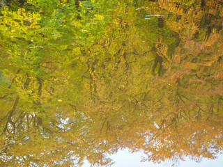 Colorful autumn trees reflected in a calm river surface, creating a serene mirror image.