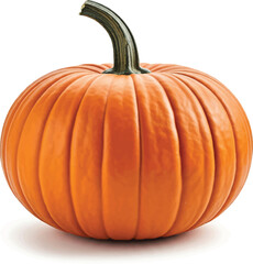 Obraz premium Pumpkin illustration with warm tones 