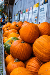 A pile of different colored pumpkins