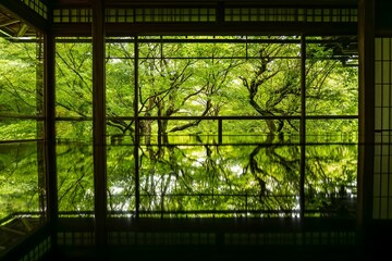 Naklejka premium View of Japanese garden of Rurikoin Temple reflecting on water in Kyoto, Japan